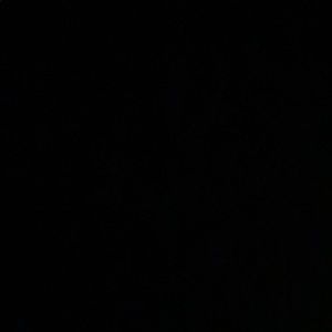 Meet your Posher, Gloria